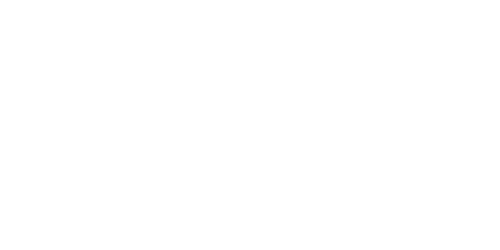 VDMcars